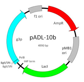 pADL-10b map